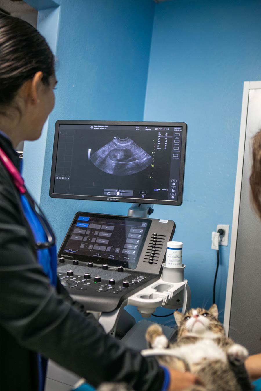 Animal Diagnostics Vet Fort Lauderdale Florida